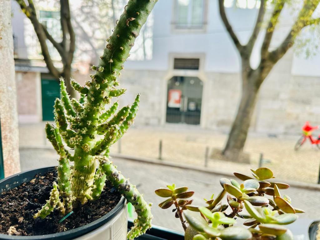 Varandas Do Marques Lisboa المظهر الخارجي الصورة