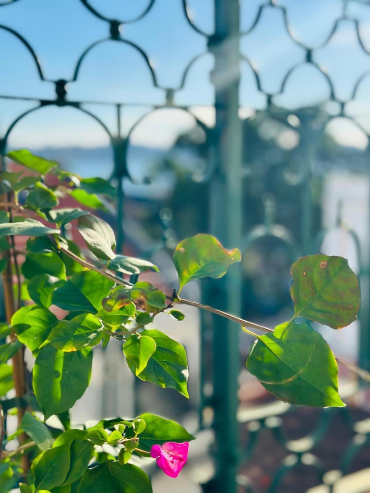 Varandas Do Marques Lisboa المظهر الخارجي الصورة